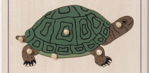 incastri animali puzzle tartaruga