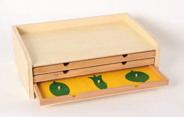 Cassettiera Botanica - materiale Biologia