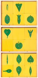 Cassettiera Botanica - materiale Biologia