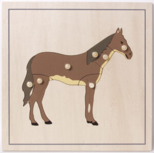 Incastri animali Puzzle - Cavallo