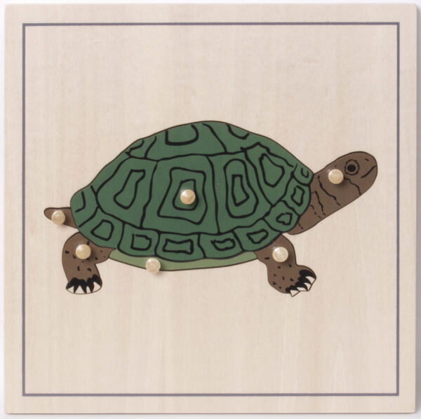 Incastri animali - Puzzle Tartaruga