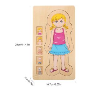 Puzzle a strati corpo umano - versione Bambina