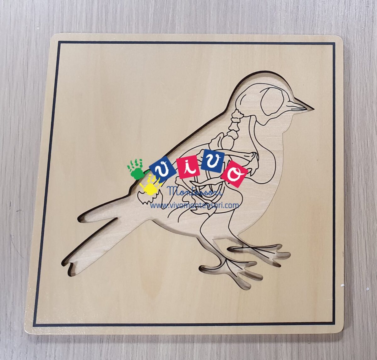 Incastri animali Puzzle - Uccello con scheletro