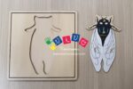 Incastri animali - Puzzle Insetto