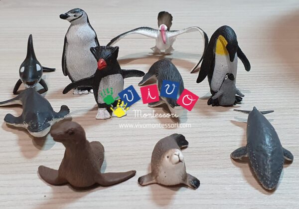 Miniature Animali dell'antartico