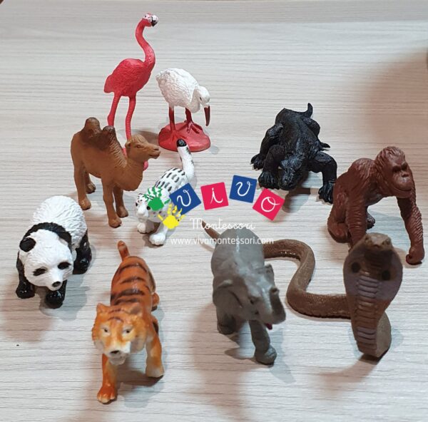 Miniature Animali - Asia