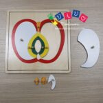 Incastri vegetali - mela