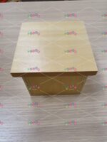 Scatola con 1000 - mille - cubi