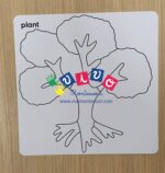 Carte nomenclatura albero in inglese