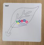 Carte nomenclatura foglia in inglese