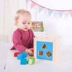 Cubo delle forme