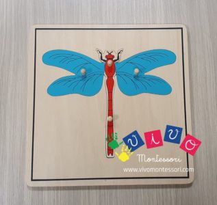 Incastri animali - Puzzle Libellula