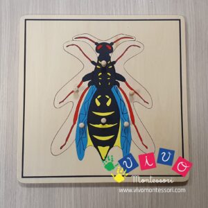 Incastri animali - Puzzle Vespa