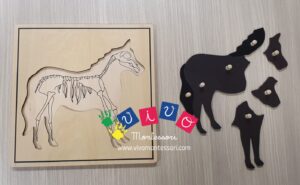 Incastri animali Puzzle - Cavallo con scheletro
