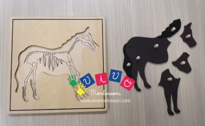 Incastri animali Puzzle - Cavallo con scheletro
