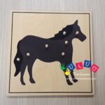 Incastri animali Puzzle - Cavallo con scheletro
