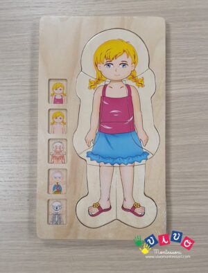Puzzle a strati corpo umano - versione Bambina