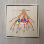 Incastri vegetali - Puzzle della radice