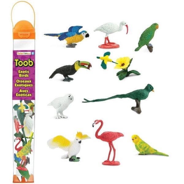 safari toobs uccelli esotici