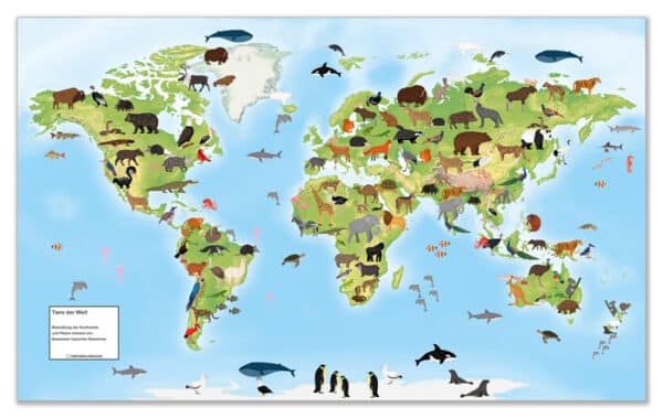 8 fogili calpestabili